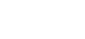 Orange Pet